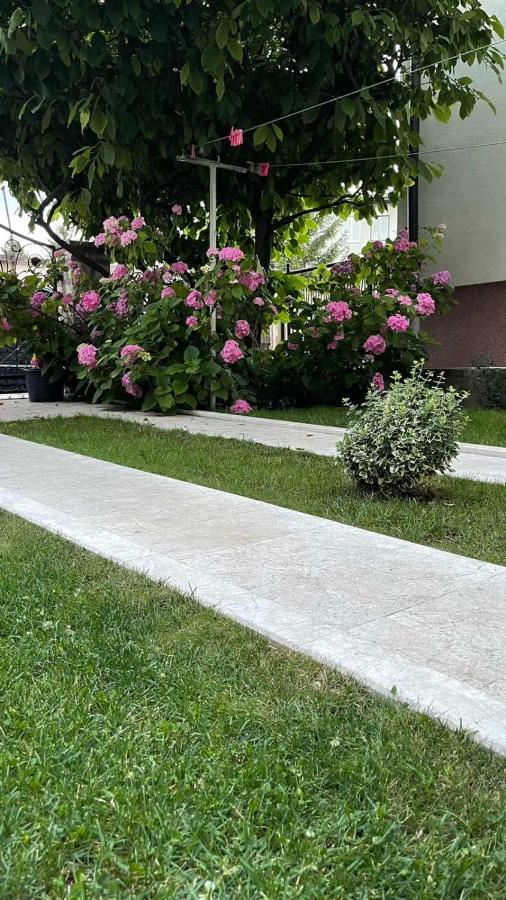 Visoko New Concept - 7 Minutes From The Pyramids - City Center Bagian luar foto